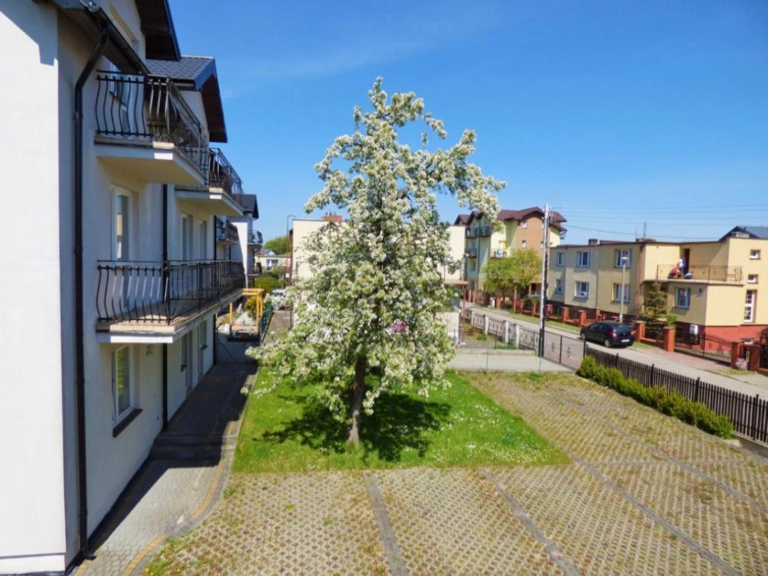 Hotel Siesta Władysławowo Exterior foto